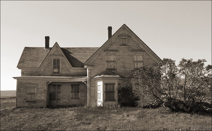 Abandonned House, Minas Basin, Nova Scotia