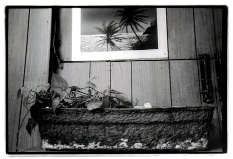 Dreams, Ambition . . .