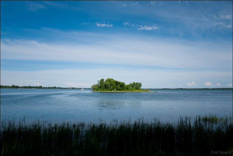 Bushy Island, from Dorval Island