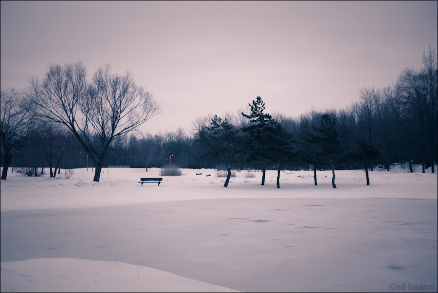 Cold Day, Longueuil Regional Park