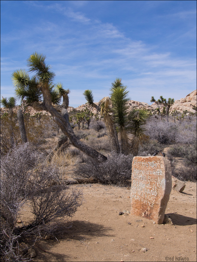 Crime Scene; Joshua Tree National Park