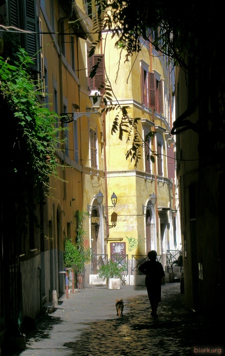 Walking the dog in Trastevere, Rome