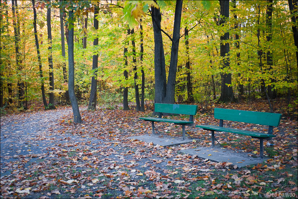 Empty Benches