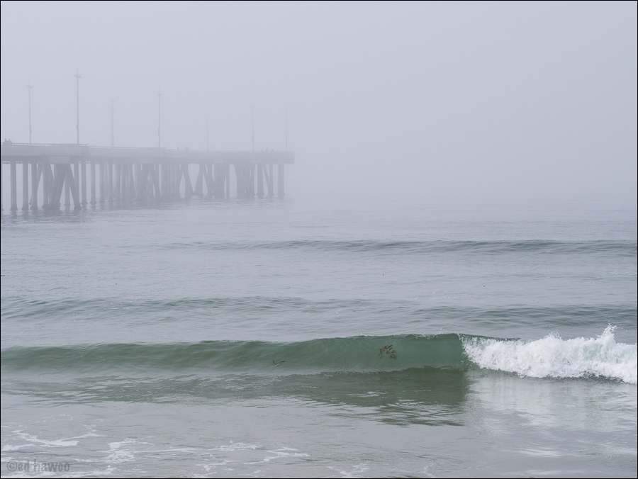 Fog at the Venice Fishing Pier