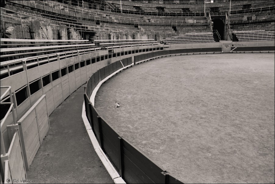 Decline of the Roman Forum