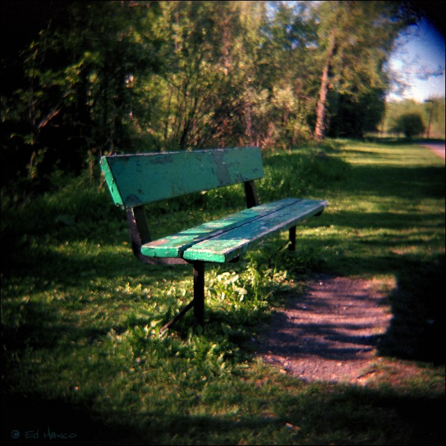 Bench, Longueuil Regional Park