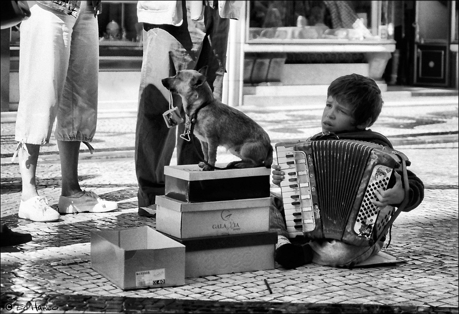 Boy and Dog, Lisbon, Portugal