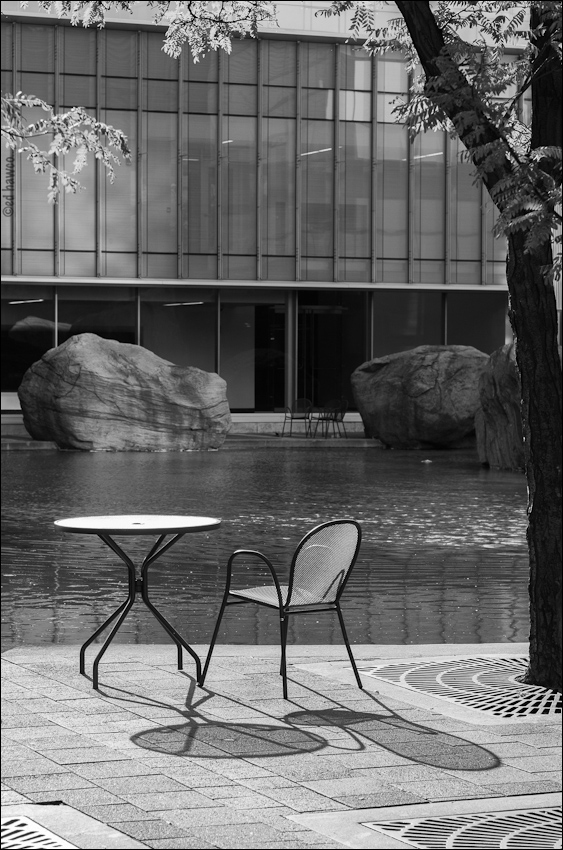 Lone Chair, Ryerson Campus, Toronto