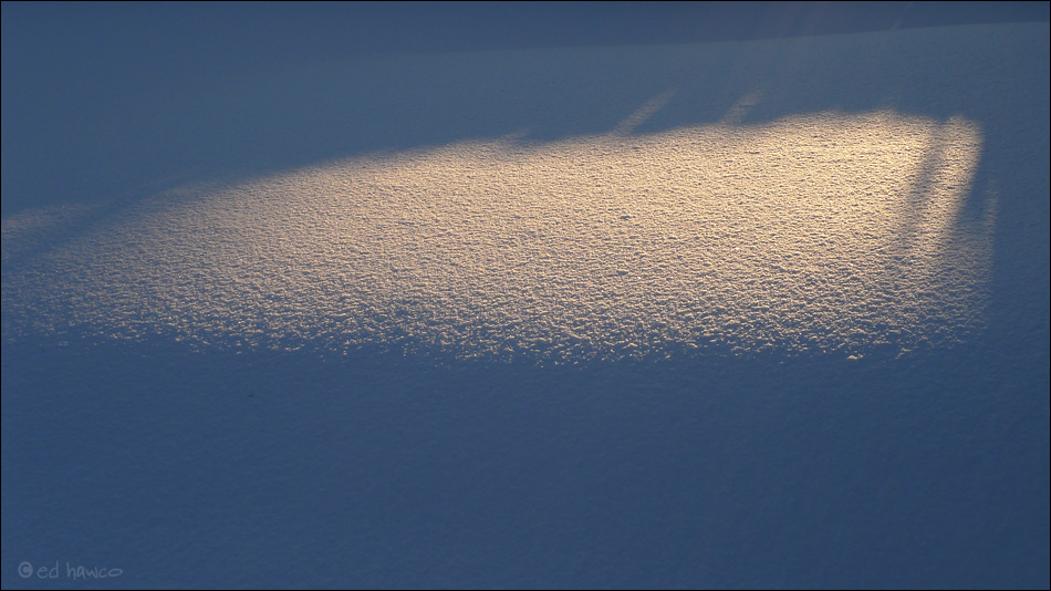 Morning light on fresh fallen snow