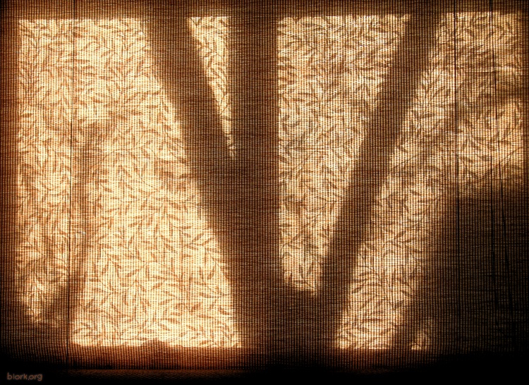 Kitchen Window (Morning)