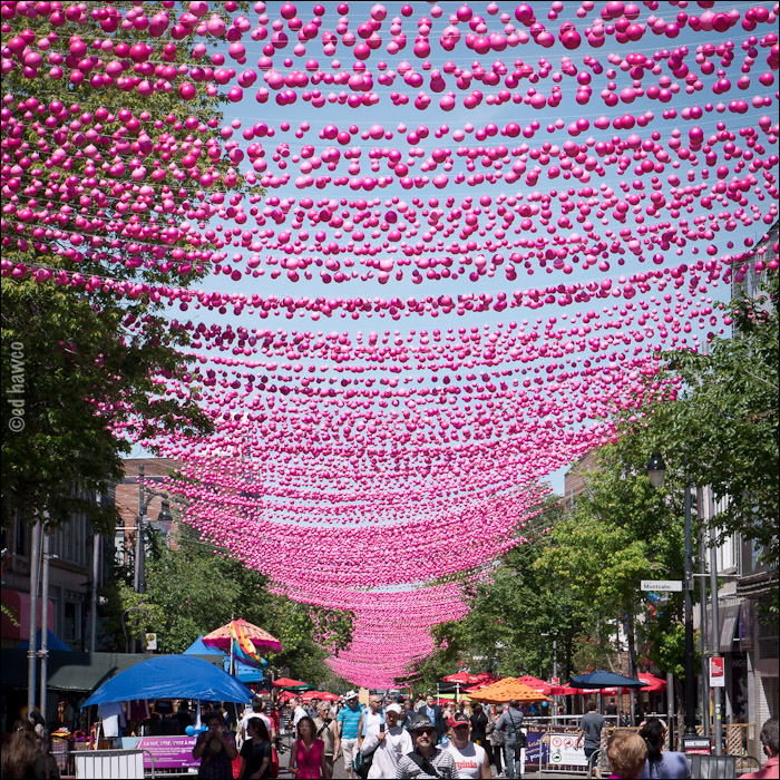 Pink Balls in the Village