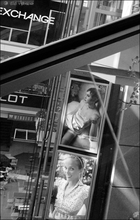 Peek Through the Escalator Glass
