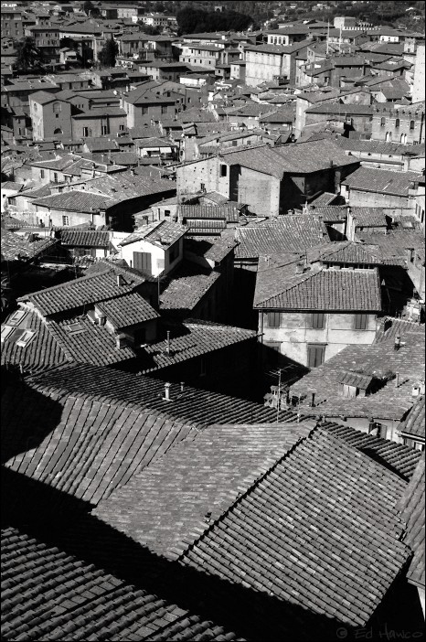 Rooftops in Siena, Italy