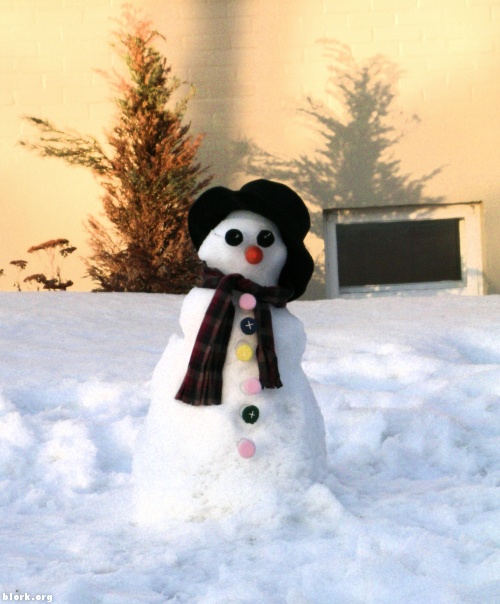 Portrait of a Snowman