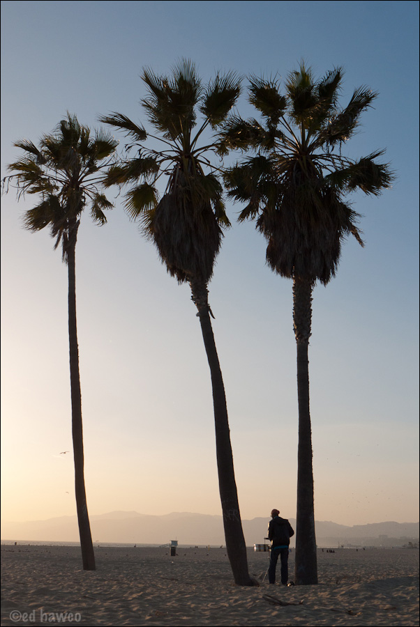 Drummer on Venice Beach, California