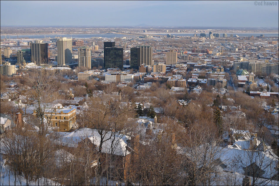 The View from Summit Circle