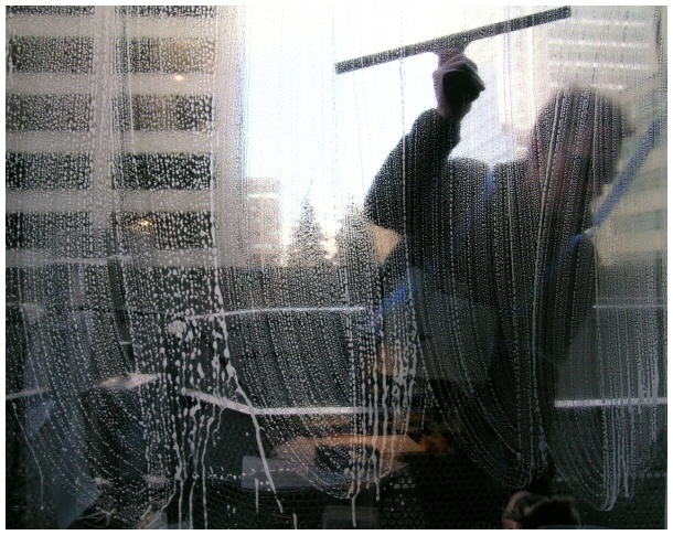 The Window Washer