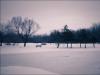 Cold Day, Longueuil Regional Park