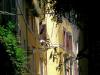 Walking the dog in Trastevere, Rome