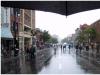 Rain on the Main