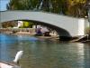 Snowy Egret, Venice Canals, Los Angeles